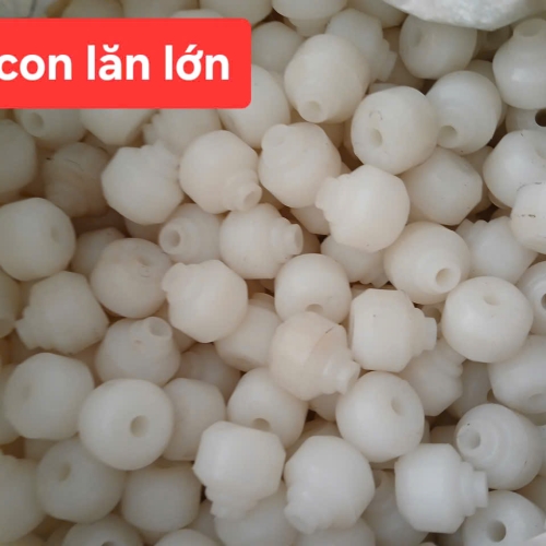 Con lăn lớn